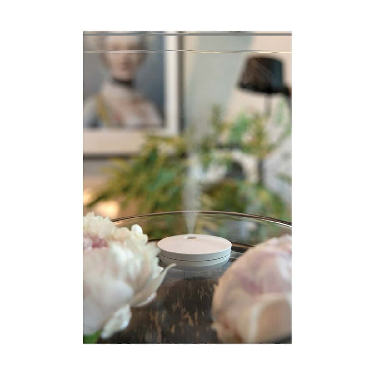 Artykuły do domu z logo – nawilżacz powietrza breevia P457.0219__M_403 1. Inteligentny głośnik dekoracyjny na stole w salonie, nowoczesny gadżet.