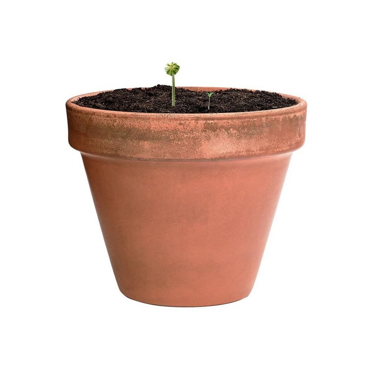 Doniczki z logo – kula z nasionami dzikich kwiatów V7224-00_AAA04 1. Terakotowy doniczka z młodym pędem roślinnym, ozdobny gadżet do ogrodu.