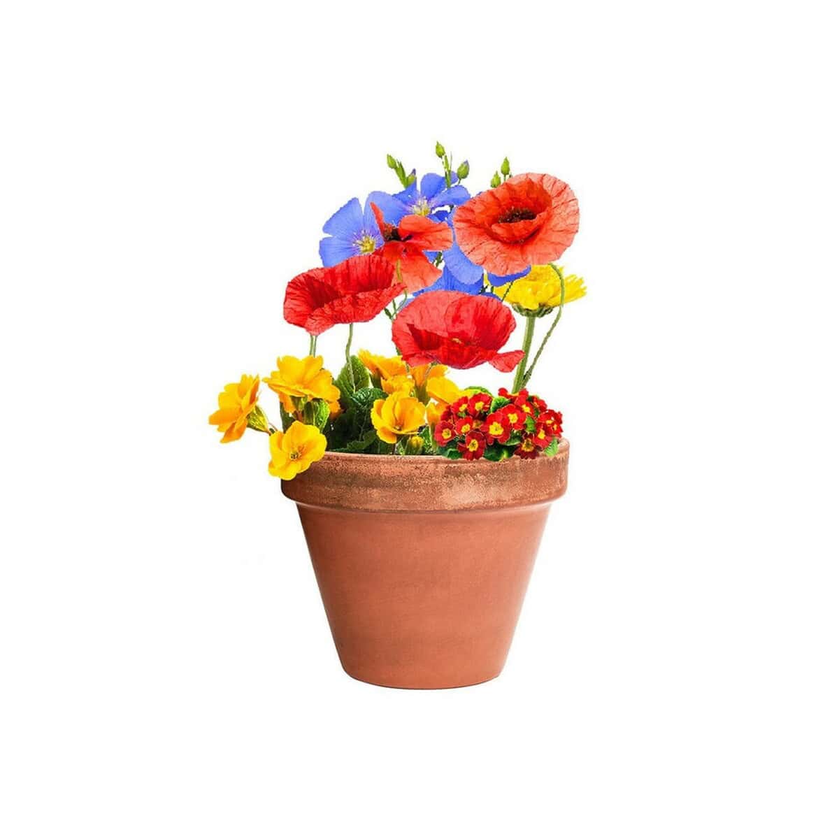 Doniczki z logo – kula z nasionami dzikich kwiatów V7224-00_AAA06 Kolorowe kwiaty w doniczce, ozdoba na ogród i balkon, unikalne gadżety ogrodowe, rośliny dekoracyjne, prezenty na każdą okazję, z Gadzety.pl.