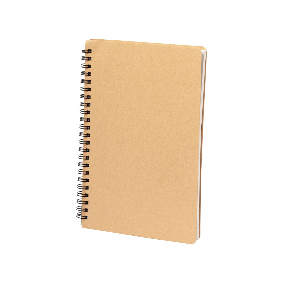 Revia notes z papieru z kamienia AP734039