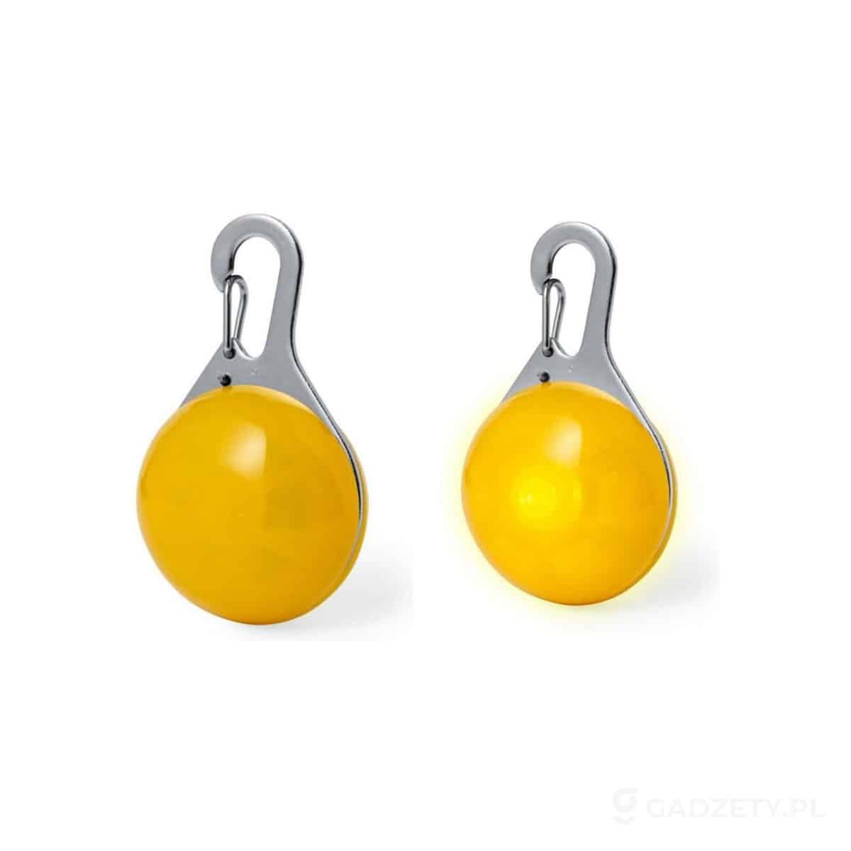 AXP-V2123-wariant-watermark Lampka dla psa – zdjęcia produktu