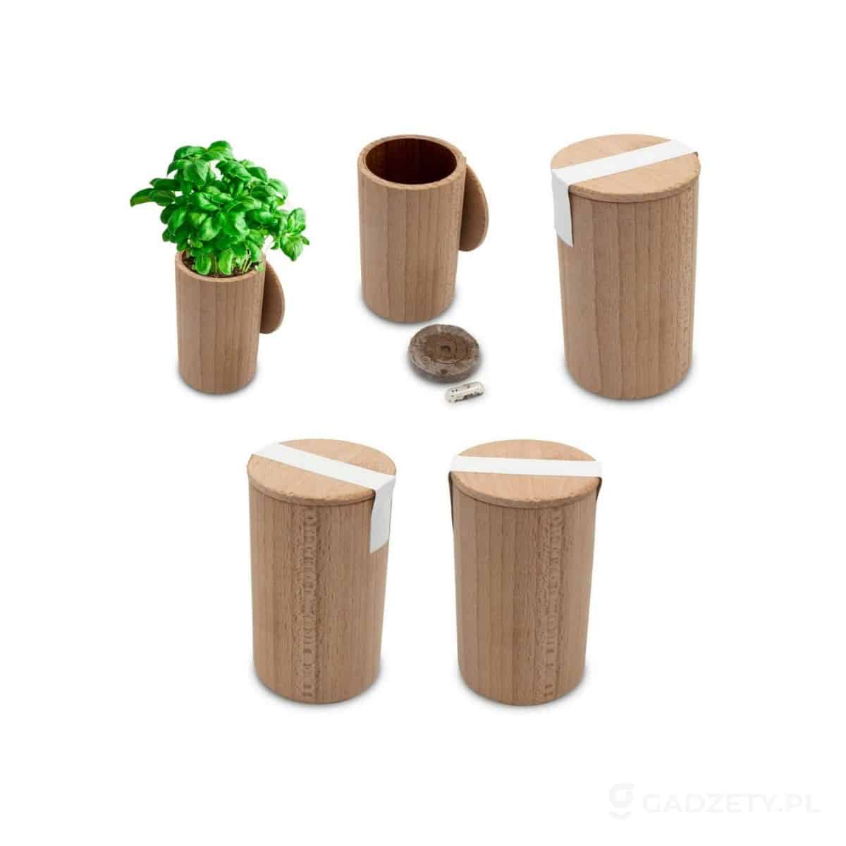 AXP-V9964-wariant-watermark Drewniana doniczka, nasiona bazylii i ziemia | Dottie – zdjęcia produktu
