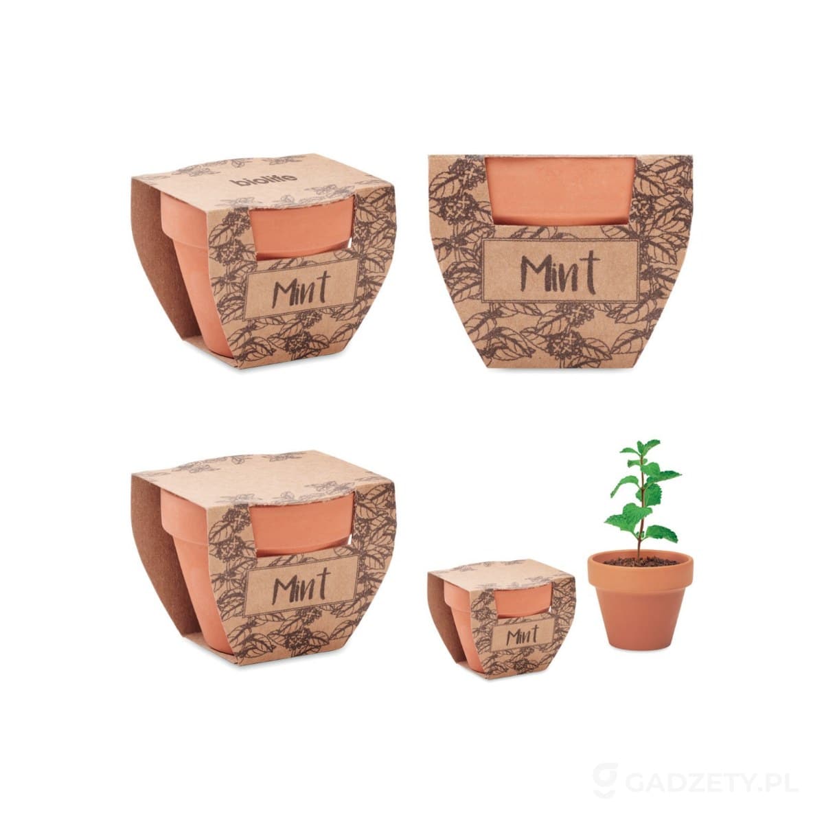 MO2218-wariant-watermark Nasiona mięty w doniczce MINT POT – zdjęcia produktu