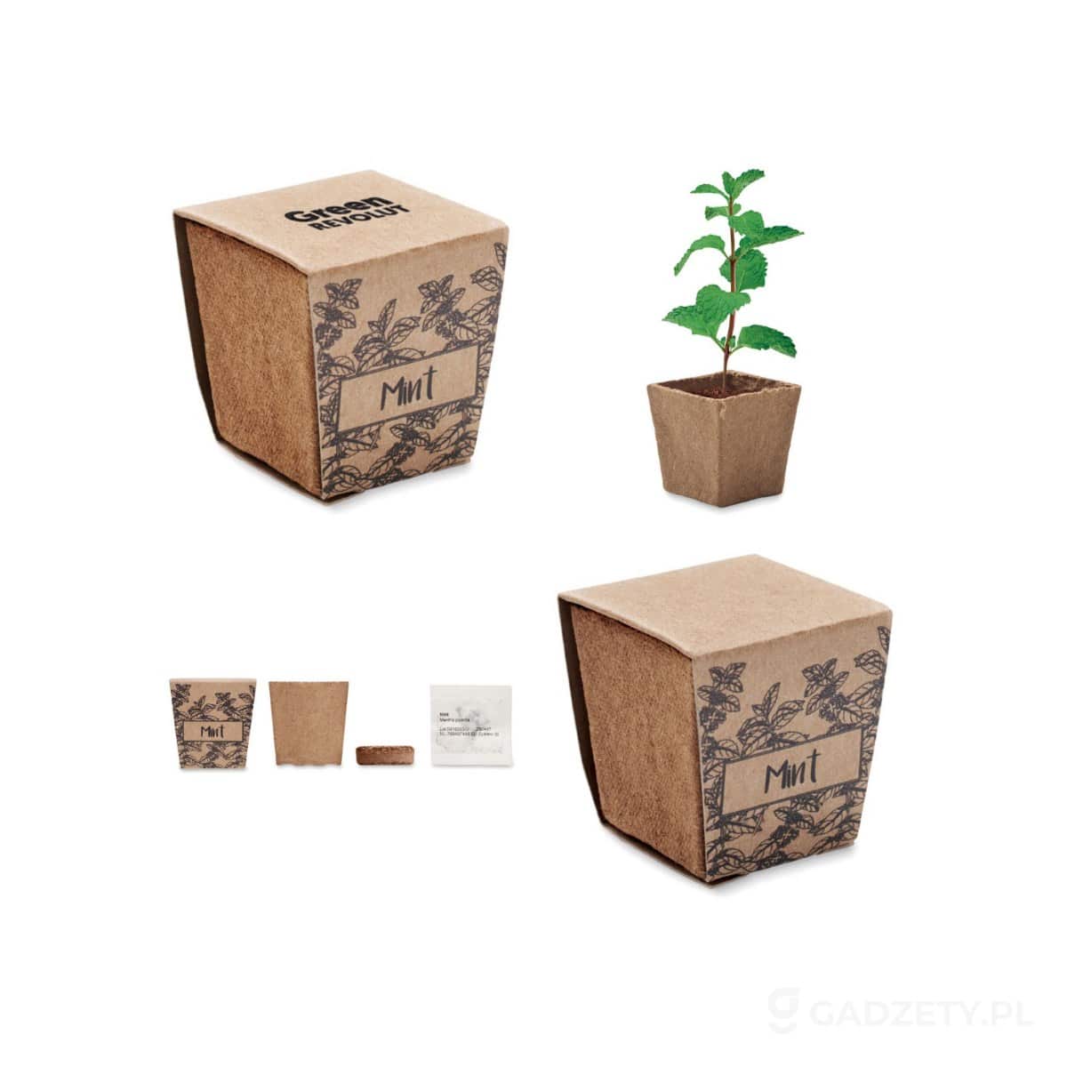 MO2410-wariant-watermark Zestaw do uprawy mięty MINT KIT – zdjęcia produktu