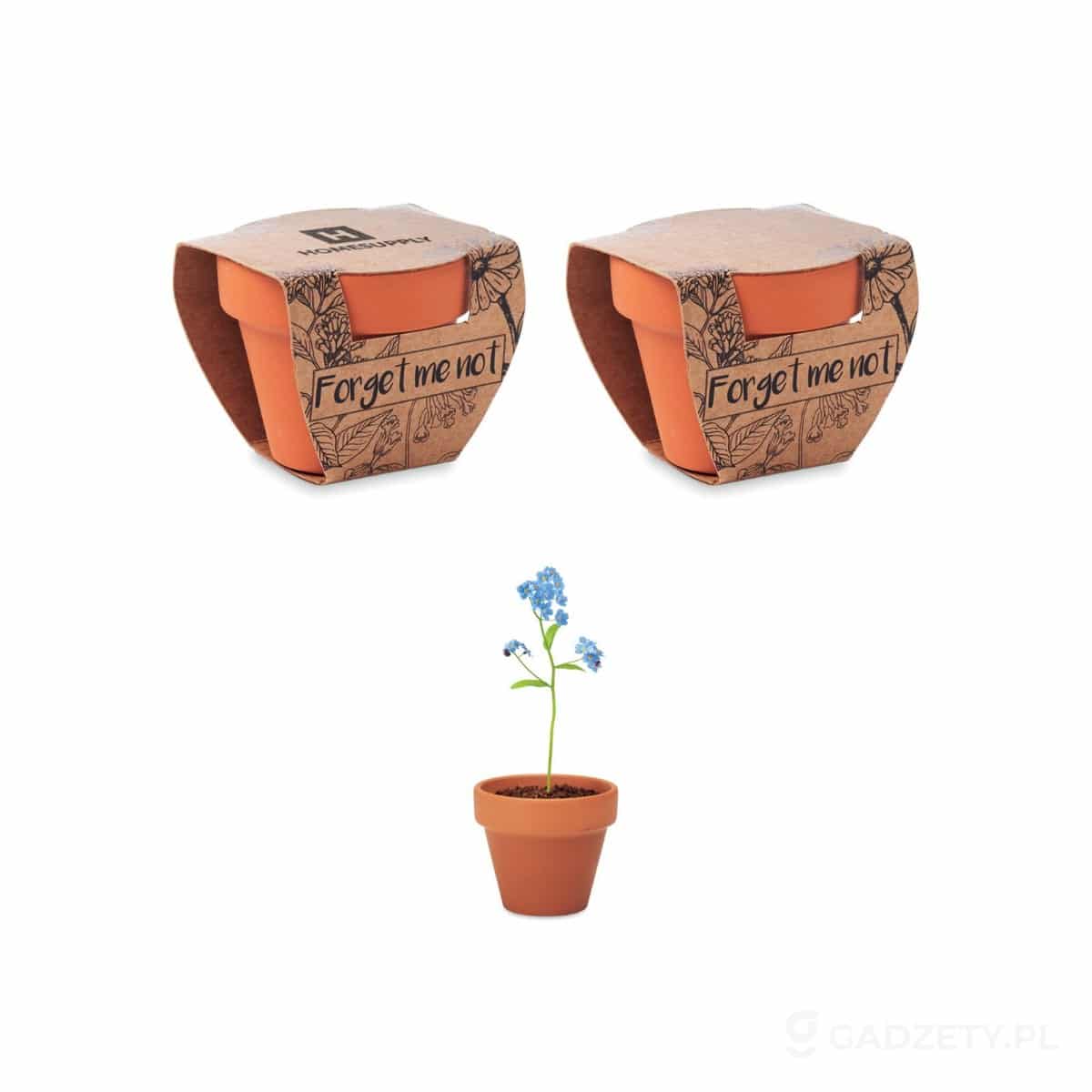 MO6146-wariant-watermark Doniczka, niezapominajka FORGET ME NOT – zdjęcia produktu