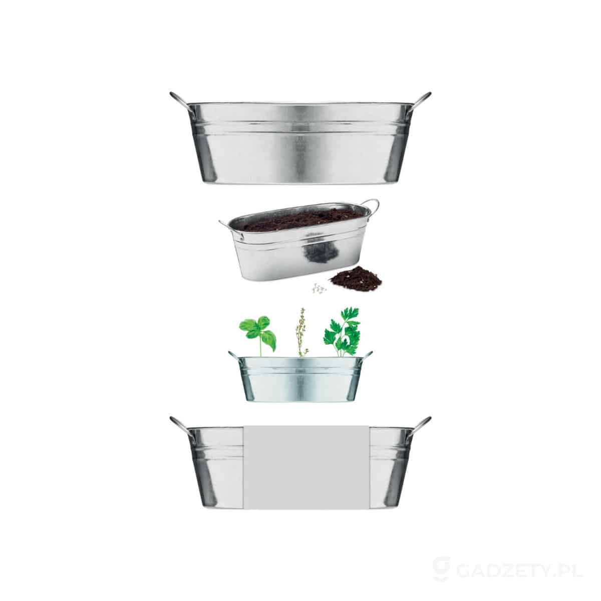 MO6497-wariant-watermark Cynkowa wanienka z nasionami MIX SEEDS – zdjęcia produktu
