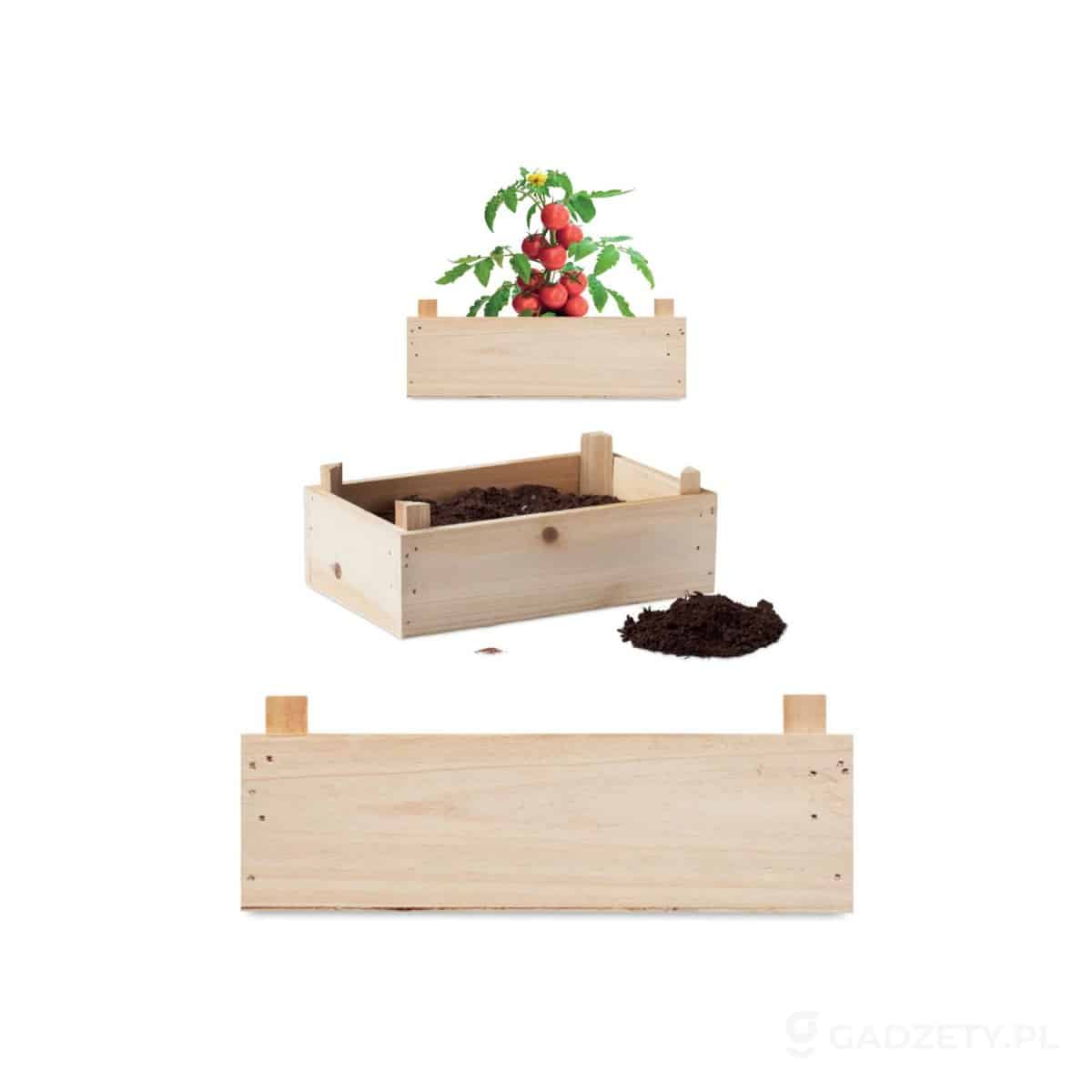 MO6498-wariant-watermark Zestaw do uprawy pomidorów TOMATO – zdjęcia produktu