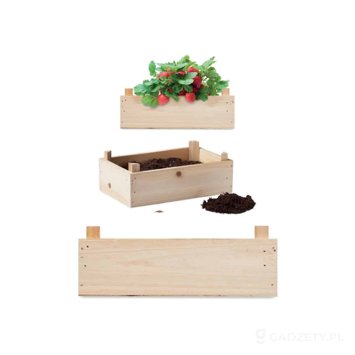MO6506-wariant-watermark Zestaw do uprawy truskawek STRAWBERRY – zdjęcia produktu