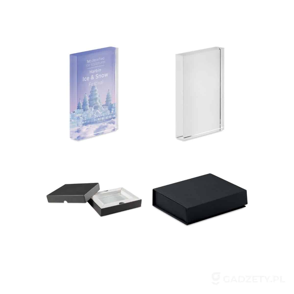 MO6677-wariant-watermark Kryształowa statuetka, nagroda BLO – zdjęcia produktu