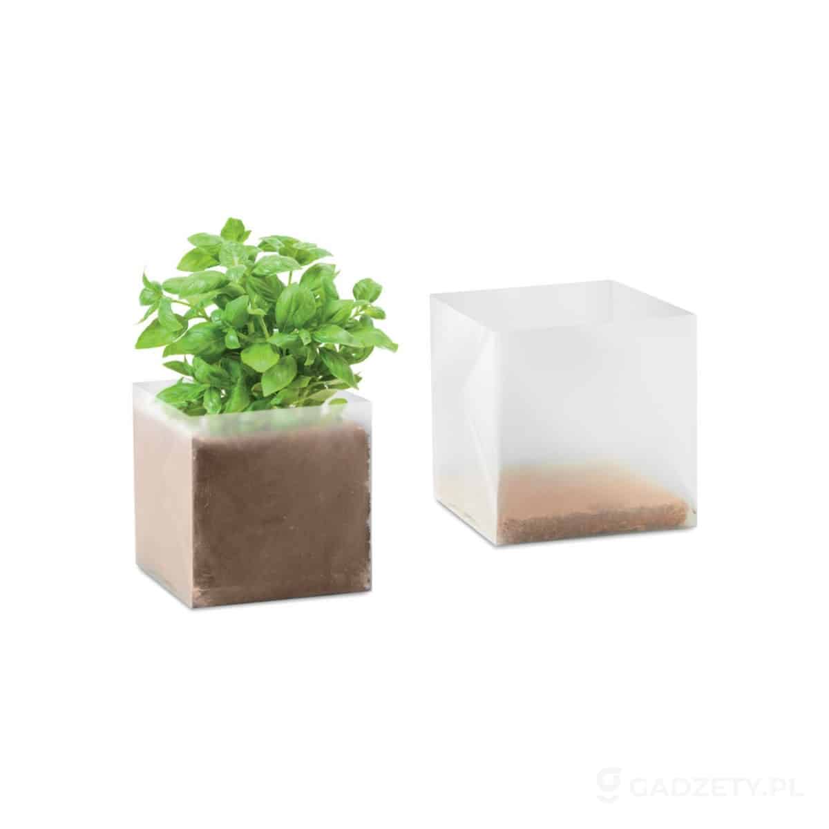 MO9545-wariant-watermark Zestaw do uprawy