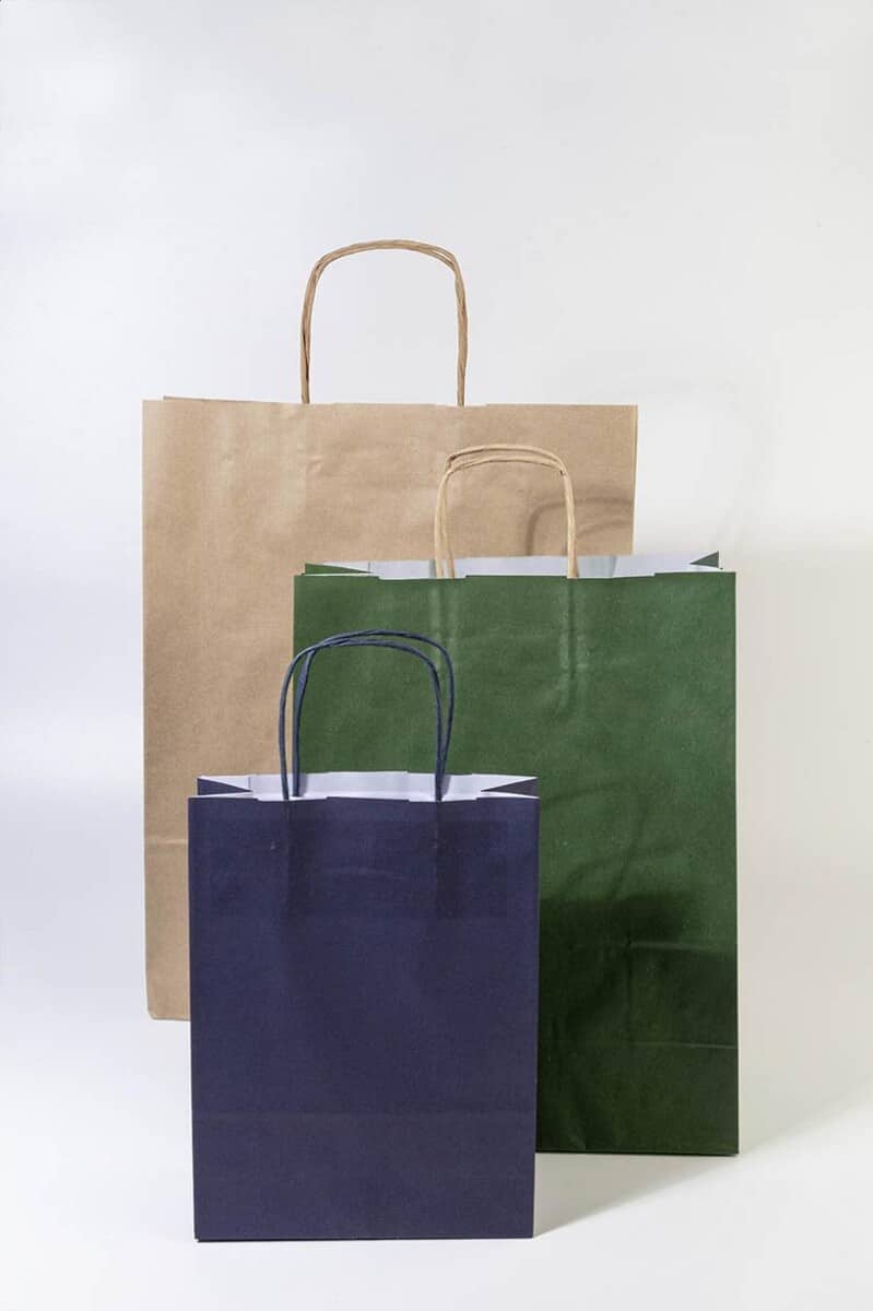 Torby papierowe z logo – papbag l papierowa torba prezentowa, duża AP719608-00__DG Papbag L papierowa torba prezentowa, duża AP719608-00__DG