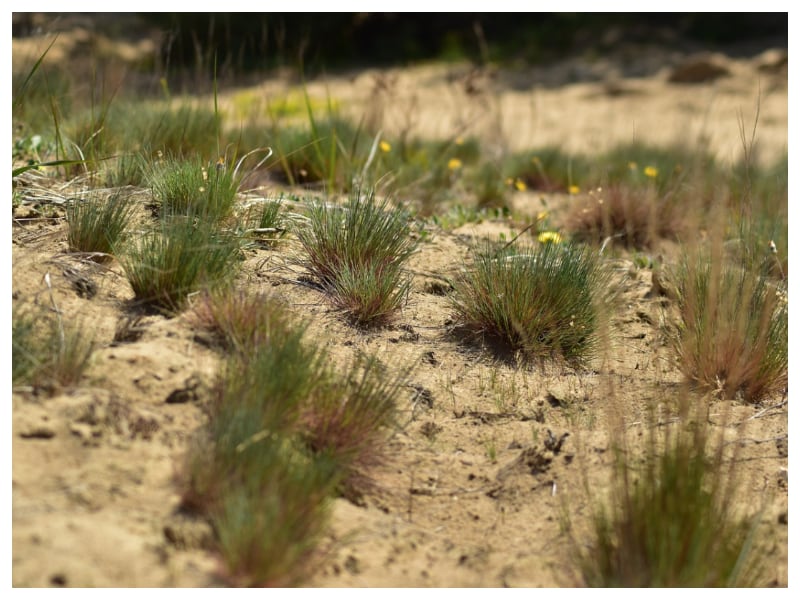 Gadżety reklamowe Andrychów