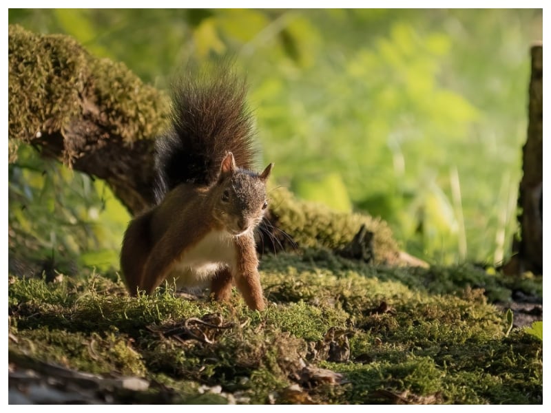 Gadżety reklamowe Bartoszyce