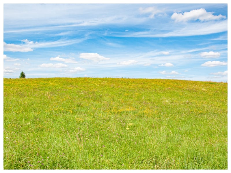 Gadżety reklamowe Bytom