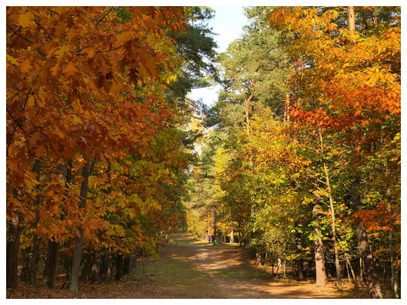 Gadżety reklamowe Chrzanów