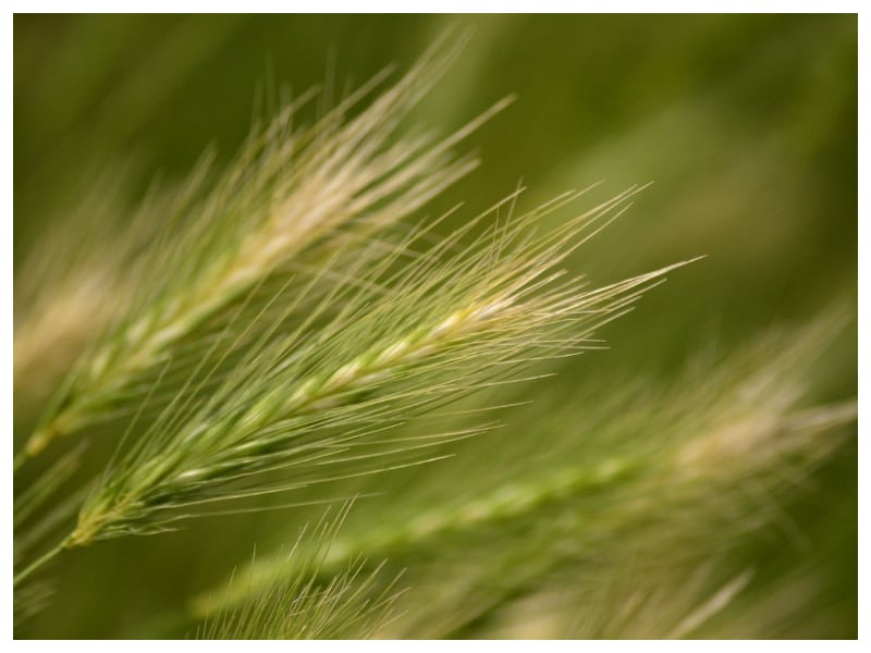 Gadżety reklamowe Kędzierzyn-Koźle