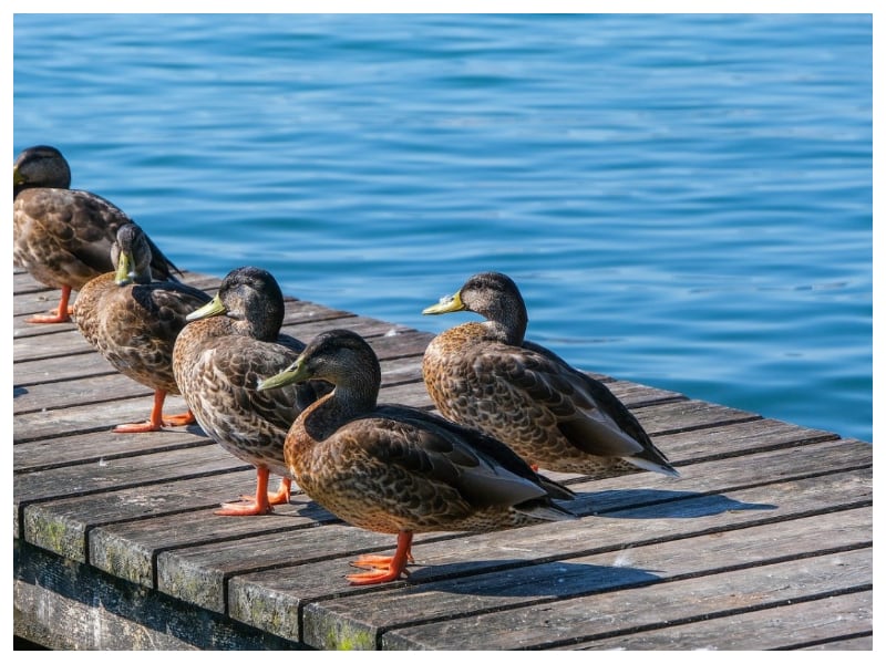 Gadżety reklamowe Kętrzyn
