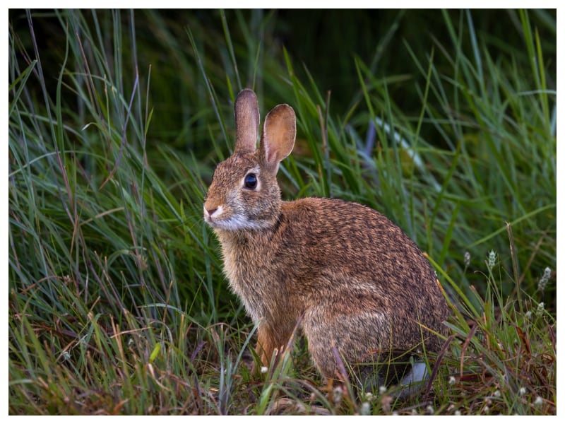 Gadżety reklamowe Kluczbork