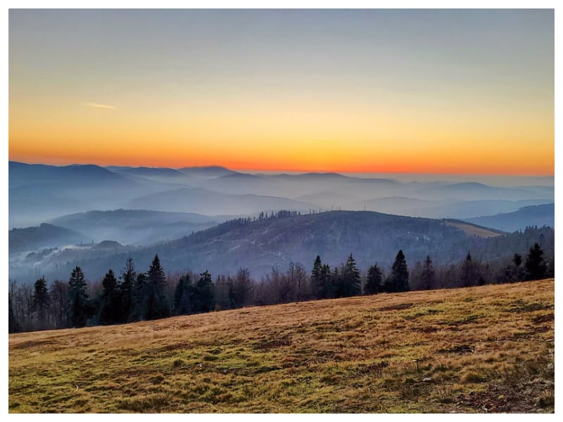 Gadżety reklamowe Żywiec