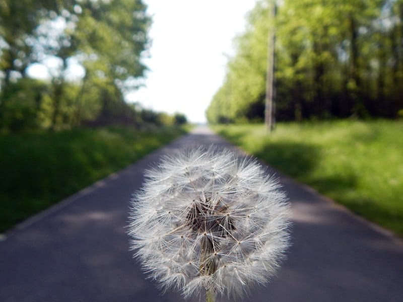 Gadżety reklamowe Aleksandrów Łódzki