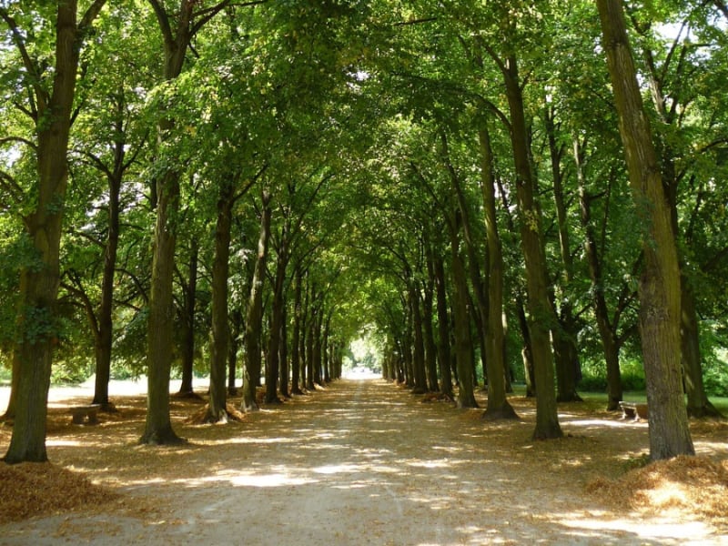 Gadżety reklamowe Świętochłowice